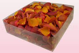Burnt orange limonium airbrushed flowers are an outstanding filler choice for creating texture in your arrangements. Freeze Dried Rose Petals Burnt Orange