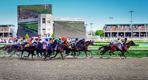 The Ultimate Guide To Betting The Kentucky Derby