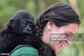 324 Joanne Still Photos & High Res Pictures