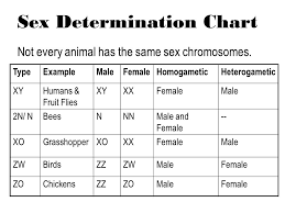 sex linkage and sex determination ppt download