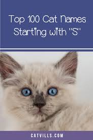 Then discover suggestions that go beyond the top choices to encompass trending cat names, rare picks, and choices inspired by languages other than english. 100 Sweet Cat Names Starting With S Cat Names Girl Cat Names Cute Cat Names Girls
