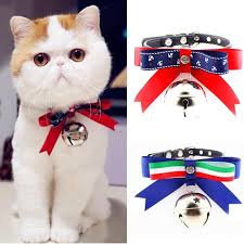 Sevimli Pet Buyuk Kopekler Teddy Kedi Yaka Demeti Dekorasyon Ingiliz Italyan Beyefendi Tarzi Papyon Can Kolye Ile Temel Yaka Kategoride Kedi Tasmasi Ve Ilanlar Www1 Columbiaconnections Org