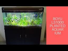 Boyu 3 3 Feet Imported Aquarium Planted Aquarium Easy Aquatic Plants Planted Aquarium Aquatic Plants Aquarium