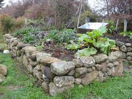 Raised Bed Close Up Ooooby In 2020 Rock Garden Design Rock Garden Landscaping Building A Raised Garden