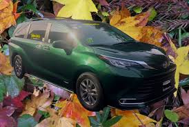 Image result for Green 2021 Fleet