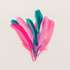 Browse the entire catalog today. Downtempo Edm Samples Royalty Free Sample Pack Download