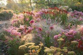 Ashley S Garden Small Cottage Garden Ideas Irish Garden Plants