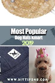 Black Beanie With Pom Pom Kmart Dog Birthday Hats Amazon Dogbirthdayhats Dog Hat Dog Birthday Hat Diy Dog Stuff