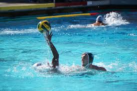 Find, read, and share water polo quotations. Recap Boys Water Polo Fails To Clinch Ccs Playoff Berth The Paly Voice