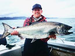 At the foot of the alaska peninsula, this small, pretty town offers the perfect. Alaska King Salmon Fact Sheet Alaska S Boardwalk Lodge