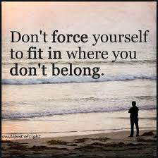 Don T Force Yourself To Fit In Where You Don T Belong Fitting In Quote 101 Quotes