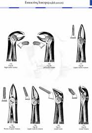Dental Extracting Forceps 121 Fig 32 Lower Molars