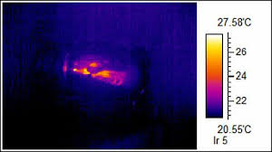 While some ir wavelengths do travel through. Can Thermal Imaging Cameras See Through These Things