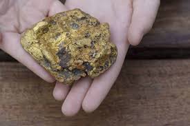 Check spelling or type a new query. Bendigo Family Finds Gold Nugget Worth More Than 35 000 Wellington Times Wellington Nsw