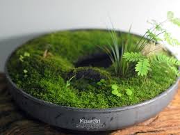 Zen Hymolonᵀᴹ Fabric Base 300x300mm 11 8 X11 8 For Moss And Fern Plant Growing Indoor Decor Miniature Garden Miniature Garden Mini Garden Plants