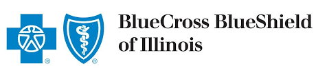 Blue cross blue shield is one of the insurers that steps in to fill in the gaps left by medicare's. Blue Cross And Blue Shield Of Illinois S Competitors Revenue Number Of Employees Funding Acquisitions News Owler Company Profile