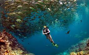 Asi Es Como Me Siento Cuando Estoy Camino Bajo El Agua This Is How I Feel When I Am Way Underwater Best Scuba Diving Diving Scuba Diving
