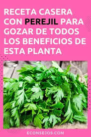 Esta Receta Casera Es Maravillosa Para Su Piel Fantastico Perejil Beneficios Te De Perejil Para Adelgazar Perejil