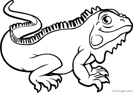 Twelve animals are available, including a bat, butterfly, dragonfly, elephant, fox, iguana, owl, raccoon, rhino, turtle, hermit crab and snail. Iguana Coloring Pages Coloringall