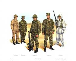 Image result for Brown 1983 Fleet