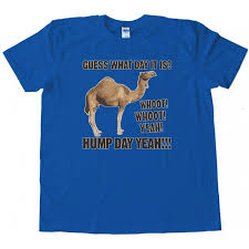 Happier than a camel on wednesday christmas remix is now available. Hump Day Geico Camel Tee Shirt