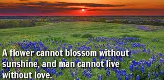 Check spelling or type a new query. 20 Quotes About Flowers Understand Beauty Everywhere Enkiquotes