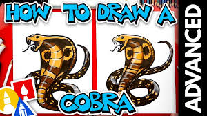 I'll show you how to draw both venomous and. Reptile Archives Art For Kids Hub