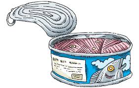 Greenpeace recently ranked 14 tuna brands, analyzing packaging, environmental impact, transparency, and overall sustainability. 4 Canned Fish You Should Avoid At All Costs Rodale S Organic Life