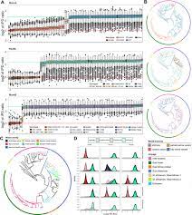 To show you the most accurate result, we use the. 64 Euro In Lei 4