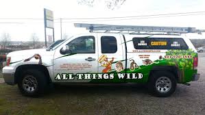 At palmetto state pest control we'll give you the attention and personal service you'll come to expect and enjoy. Nuisance Wildlife Removal And Pest Control All Things Wild Nuisance Wildlife Removal