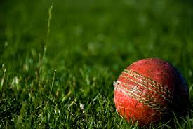 100 Cricket Wallpaperss Hd Download Free Images Stock Photos On Unsplash If not then click on our site and downloaded hd wallpapers all are free hd free widescreen wallpaper pics of cricket player for desktop, iphone, android, and mobile background. download free images stock photos on