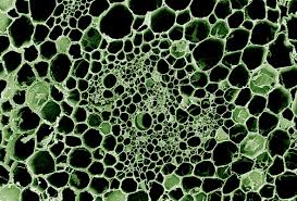 Картинки по запросу графен остановит пулю