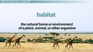These involve the physical features of an organism that help them to survive in the environment including the different types of terrestrial habitat. What Is Habitat Definition Explanation Video Lesson Transcript Study Com