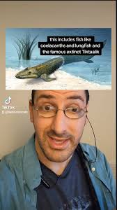 David Moscato (@dmoscato150) • Instagram photos and videos