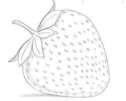 Kalau kalian menghendaki unduh gambar mewarnai frozen ini adalah sketsa frozen mewarnai strawberry shortcake birthday coloring pages yang di posting pada february 20 2018 oleh gambarcoid memiliki kategori nah selain dibawah ini juga ada gambar yang yang mungkin anda cari.strawberry shortcake birthday coloring pages from sketsa frozen mewarnai. Sketsa Buah Dan Cara Belajar Membuat Sketsa Buah Untuk Pemula