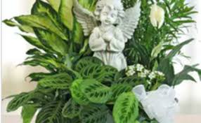 Maybe you would like to learn more about one of these? Funeral Flowers Denver Archives Veldkamps Flowers Blog