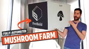 Aug 14, 2020 · creating a mushroom farm in five steps begin by clearing out a room where you want your farm to be. Mxtube Net Masurum Farm Mp4 3gp Video Mp3 Download Unlimited Videos Download
