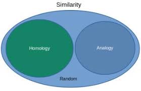 What Is Homology