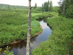 3 h 9 m low's ridge is named after abbot augustus low (died 1912), a brooklyn native who ended up owning around 32,000 acres around the bog river flow. Backpacking The Cranberry Lake 50 Trail In The Adirondacks Wanderwisdom