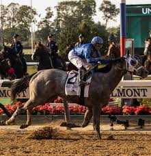 We did not find results for: Essential Quality Wins The 153rd Belmont Stakes The New York Times