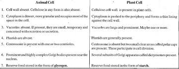 You just studied 7 terms! Hey Frnds Difference Between Animal Cell And Plant Cell Answer Plzz Brainly In
