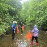 Kettering/LMWN June Little Beaver Creek Cleanup