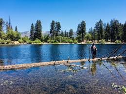 We did not find results for: Camping At San Gorgonio Campground In San Bernardino National Forest Youtube