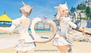 FF14 このエモが使える まとめ ～想像力のない奴に翼は持てない～ - Ameba Ownd