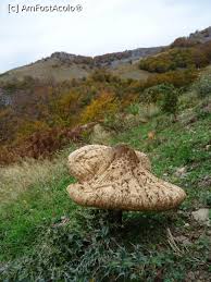 Primul drum turistic este marcat cu rosu si trece prin catunul mununa. Masivul Retezat Godeanu Rom Nia AtracÈ›ii Turistice Fun Restaurante Taverne Amfostacolo Amfostacolo