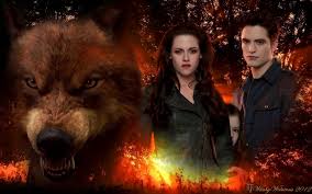 Twilight Series Wallpaper Jacob Protects Renesmee Bella Edward Twilight Photos Twilight Twilight Pictures Brown and black wolf digital wallpaper, artwork, planet, space. twilight series wallpaper jacob