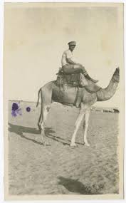 Some people wear their personality _ on their sleeves, while others try to hide it deep in the dark layers of their clothes. New Zealand Soldier Riding A Camel Mtg Hawkes Bay