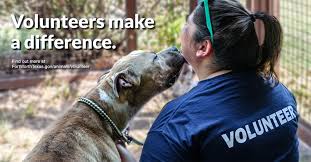 Displayed here are job ads that match your query. Animal Care Control Welcome To The City Of Fort Worth