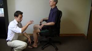 What is a disc, and what is its purpose? Ultimate Guide To Office Chairs For Back Pain Reviews 2021