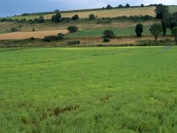 Maybe you would like to learn more about one of these? C Est Moi Qui L Ai Fait Legumes Secs